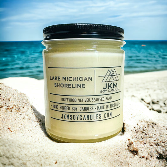 Lake Michigan Shoreline